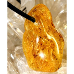 Ambre percé