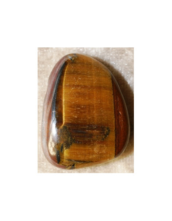 œil du tigre percé GM